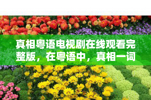 真相粤语电视剧在线观看完整版,在粤语中,真相一词通常被用来描述事情的真正情况或事实。这个词在日常生活中被广泛使用,无论是新闻报道、法庭审判,还是日常对话中,人们都会用到真相这个词来强调对事实的揭示和了解 真相粤语电视剧在线观看完整版,在粤语中,真相一词通常被用来描述事情的真正情况或事实。这个词在日常生活中被广泛使用,无论是新闻报道、法庭审判,还是日常对话中,人们都会用到真相这个词来强调对事实的揭示和了解