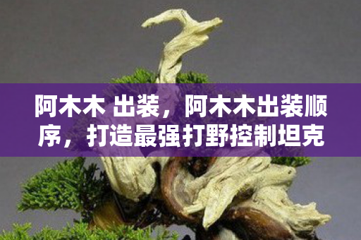 阿木木 出装，阿木木出装顺序，打造最强打野控制坦克
