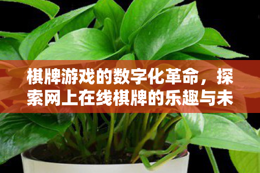 棋牌游戏的数字化革命，探索网上在线棋牌的乐趣与未来