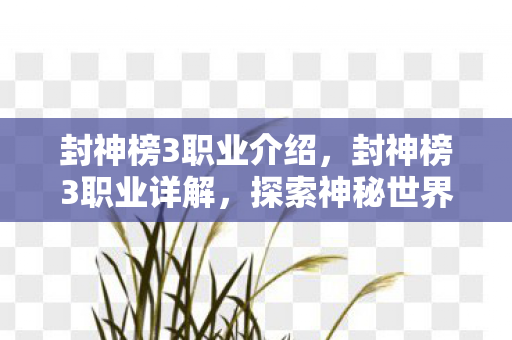 封神榜3职业介绍，封神榜3职业详解，探索神秘世界的最佳伙伴