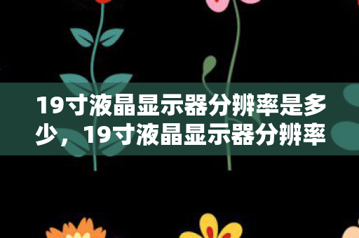 19寸液晶显示器分辨率是多少，19寸液晶显示器分辨率全解析