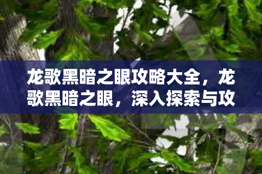 龙歌黑暗之眼攻略大全，龙歌黑暗之眼，深入探索与攻略指南