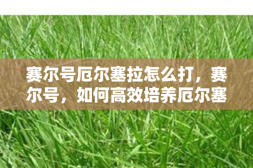 赛尔号厄尔塞拉怎么打，赛尔号，如何高效培养厄尔塞拉