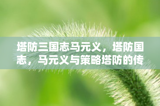 塔防三国志马元义,塔防国志,马元义与策略塔防的传奇 塔防三国志马元义,塔防国志,马元义与策略塔防的传奇