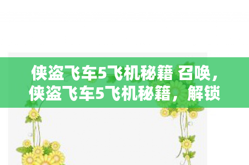 侠盗飞车5飞机秘籍 召唤，侠盗飞车5飞机秘籍，解锁飞行乐趣的秘籍指南