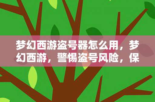 梦幻西游盗号器怎么用，梦幻西游，警惕盗号风险，保护账号安全