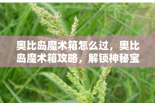 奥比岛魔术箱怎么过，奥比岛魔术箱攻略，解锁神秘宝藏的秘诀