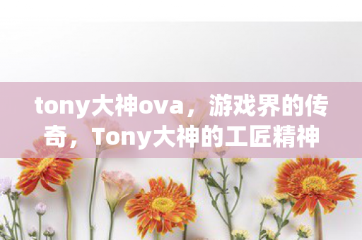 tony大神ova，游戏界的传奇，Tony大神的工匠精神