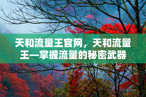 天和流量王官网，天和流量王—掌握流量的秘密武器