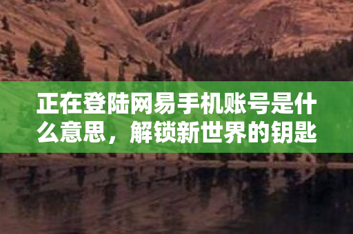 正在登陆网易手机账号是什么意思图片