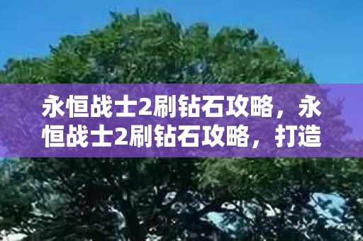永恒战士2刷钻石攻略,永恒战士2刷钻石攻略,打造最强战士的秘诀 永恒战士2刷钻石攻略,永恒战士2刷钻石攻略,打造最强战士的秘诀