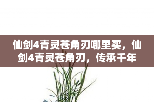 仙剑4青灵苍角刃哪里买,仙剑4青灵苍角刃,传承千年的神秘神兵 仙剑4青灵苍角刃哪里买,仙剑4青灵苍角刃,传承千年的神秘神兵