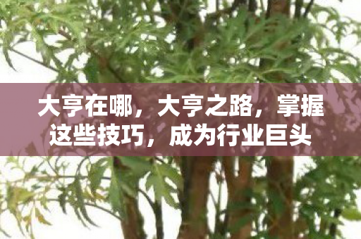 大亨在哪，大亨之路，掌握这些技巧，成为行业巨头