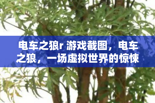 电车之狼r 游戏截图,电车之狼,一场虚拟世界的惊悚之旅 电车之狼r 游戏截图,电车之狼,一场虚拟世界的惊悚之旅