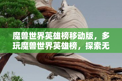 魔兽世界英雄榜移动版，多玩魔兽世界英雄榜，探索无尽冒险的必备工具