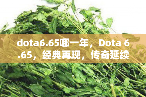 dota6.65哪一年,Dota 6.65,经典再现,传奇延续 dota6.65哪一年,Dota 6.65,经典再现,传奇延续