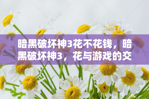 暗黑破坏神3花不花钱，暗黑破坏神3，花与游戏的交织