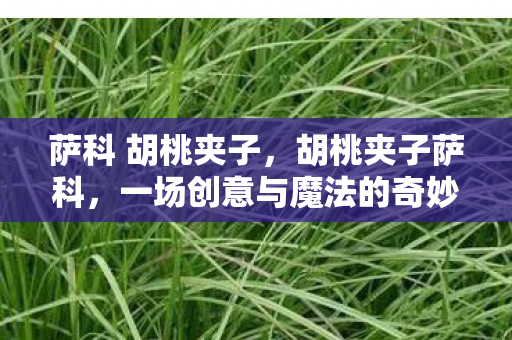 萨科 胡桃夹子，胡桃夹子萨科，一场创意与魔法的奇妙邂逅