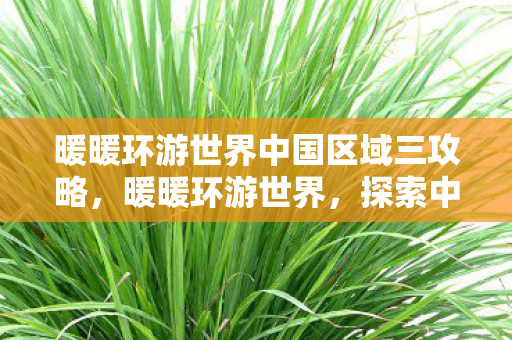 暖暖环游世界中国区域三攻略，暖暖环游世界，探索中国域3的奇妙之旅