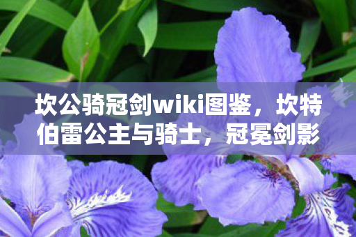 坎公骑冠剑wiki图鉴，坎特伯雷公主与骑士，冠冕剑影的奇幻之旅
