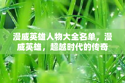 漫威英雄人物大全名单，漫威英雄，超越时代的传奇