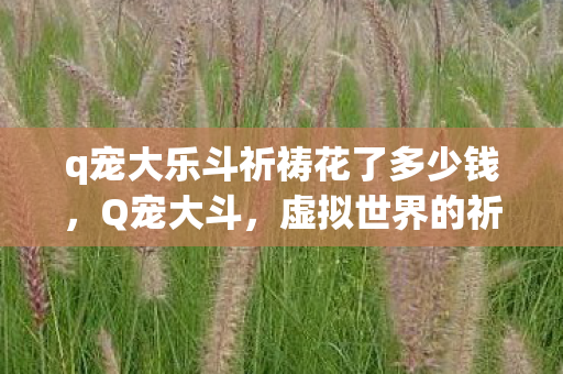 q宠大乐斗祈祷花了多少钱，Q宠大斗，虚拟世界的祈祷与竞技