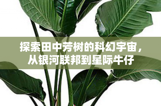 探索田中芳树的科幻宇宙，从银河联邦到星际牛仔