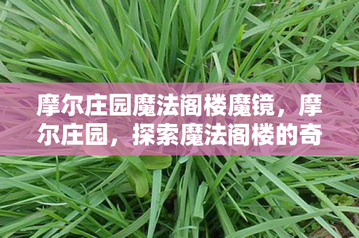 摩尔庄园魔法阁楼魔镜,摩尔庄园,探索魔法阁楼的奇幻之旅 摩尔庄园魔法阁楼魔镜,摩尔庄园,探索魔法阁楼的奇幻之旅