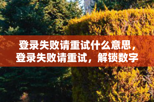 解锁数字时代下的身份验证挑战图片