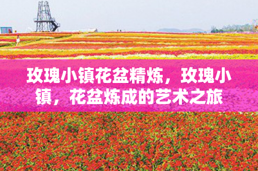 玫瑰小镇花盆精炼,玫瑰小镇,花盆炼成的艺术之旅 玫瑰小镇花盆精炼,玫瑰小镇,花盆炼成的艺术之旅