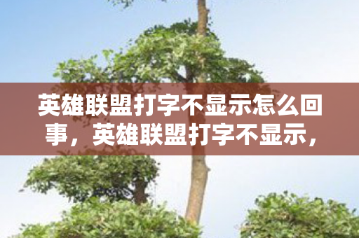 英雄联盟打字不显示怎么回事,英雄联盟打字不显示,问题解析与解决方案 英雄联盟打字不显示怎么回事,英雄联盟打字不显示,问题解析与解决方案