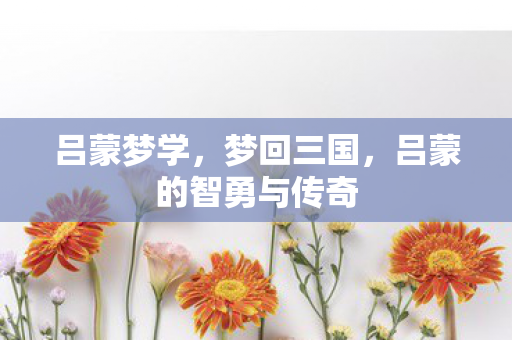 吕蒙梦学，梦回三国，吕蒙的智勇与传奇