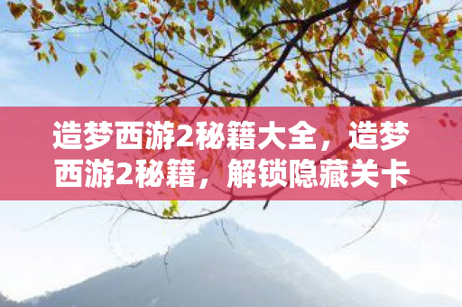 造梦西游2秘籍大全,造梦西游2秘籍,解锁隐藏关卡与角色技能 造梦西游2秘籍大全,造梦西游2秘籍,解锁隐藏关卡与角色技能