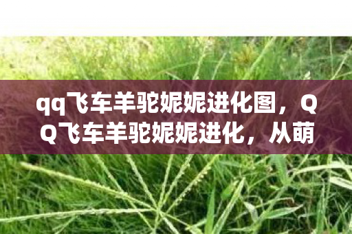 qq飞车羊驼妮妮进化图，QQ飞车羊驼妮妮进化，从萌宠到赛场霸主的蜕变之路