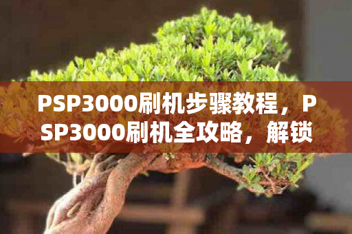 PSP3000刷机步骤教程,PSP3000刷机全攻略,解锁无限可能,打造个性化游戏机 PSP3000刷机步骤教程,PSP3000刷机全攻略,解锁无限可能,打造个性化游戏机