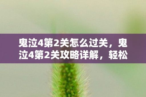 鬼泣4第2关怎么过关，鬼泣4第2关攻略详解，轻松通关技巧大揭秘！
