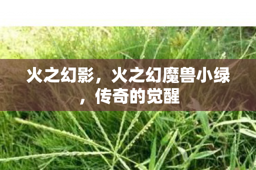 火之幻影,火之幻魔兽小绿,传奇的觉醒 火之幻影,火之幻魔兽小绿,传奇的觉醒