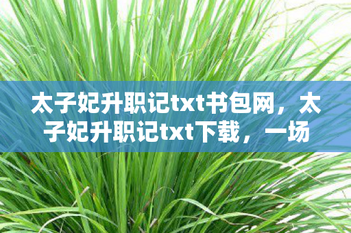 太子妃升职记txt书包网,太子妃升职记txt下载,一场跨越时空的浪漫喜剧 太子妃升职记txt书包网,太子妃升职记txt下载,一场跨越时空的浪漫喜剧