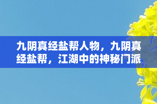 九阴真经盐帮人物,九阴真经盐帮,江湖中的神秘门派 九阴真经盐帮人物,九阴真经盐帮,江湖中的神秘门派