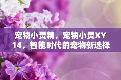 宠物小灵精,宠物小灵XY14,智能时代的宠物新选择 宠物小灵精,宠物小灵XY14,智能时代的宠物新选择