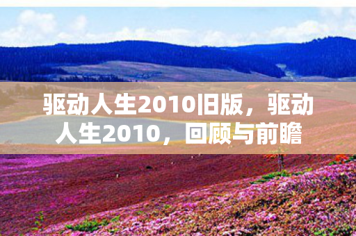 驱动人生2010旧版，驱动人生2010，回顾与前瞻