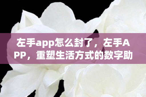 左手app怎么封了,左手APP,重塑生活方式的数字助手 左手app怎么封了,左手APP,重塑生活方式的数字助手