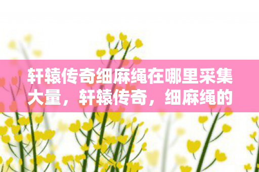 轩辕传奇细麻绳在哪里采集大量,轩辕传奇,细麻绳的传奇故事 轩辕传奇细麻绳在哪里采集大量,轩辕传奇,细麻绳的传奇故事