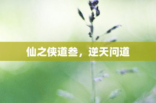 仙之侠道叁图片