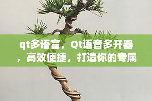 qt多语言，Qt语音多开器，高效便捷，打造你的专属聊天环境