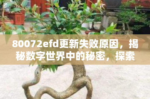 80072efd更新失败原因，揭秘数字世界中的秘密，探索数字80072efd背后的故事