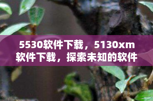 5530软件下载，5130xm软件下载，探索未知的软件世界