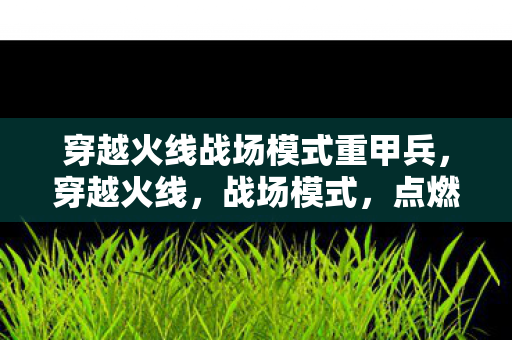 穿越火线战场模式重甲兵,穿越火线,战场模式,点燃你的战斗激情 穿越火线战场模式重甲兵,穿越火线,战场模式,点燃你的战斗激情