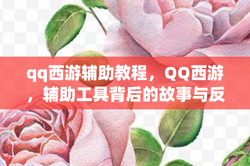 qq西游辅助教程，QQ西游，辅助工具背后的故事与反思