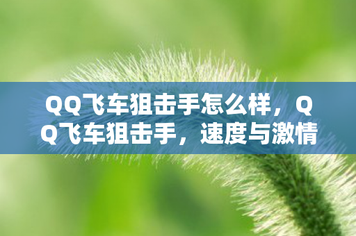QQ飞车狙击手怎么样,QQ飞车狙击手,速度与激情的较量 QQ飞车狙击手怎么样,QQ飞车狙击手,速度与激情的较量
